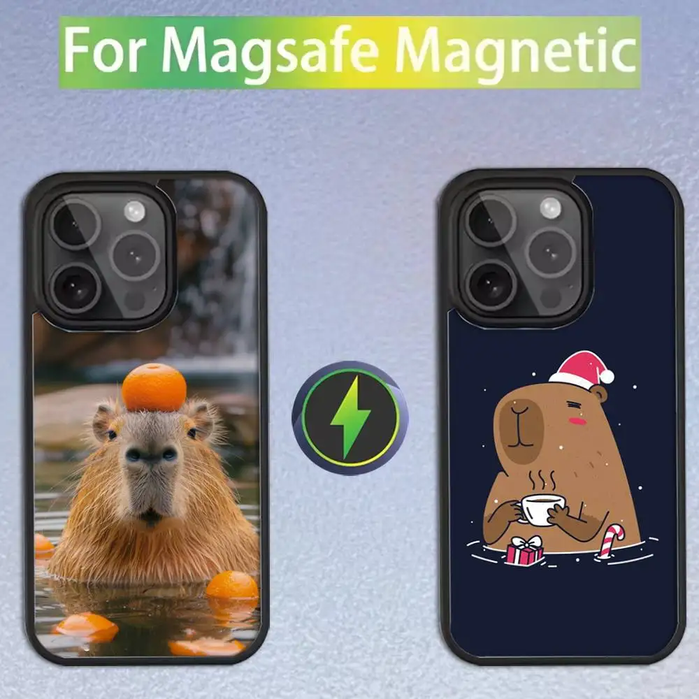 

Чехол для телефона с милым животным «Капибара» для iPhone 16,15,14,13,12,11, Pro, Max, Plus, Mini, SE Magsafe с магнитной беспроводной зарядкой