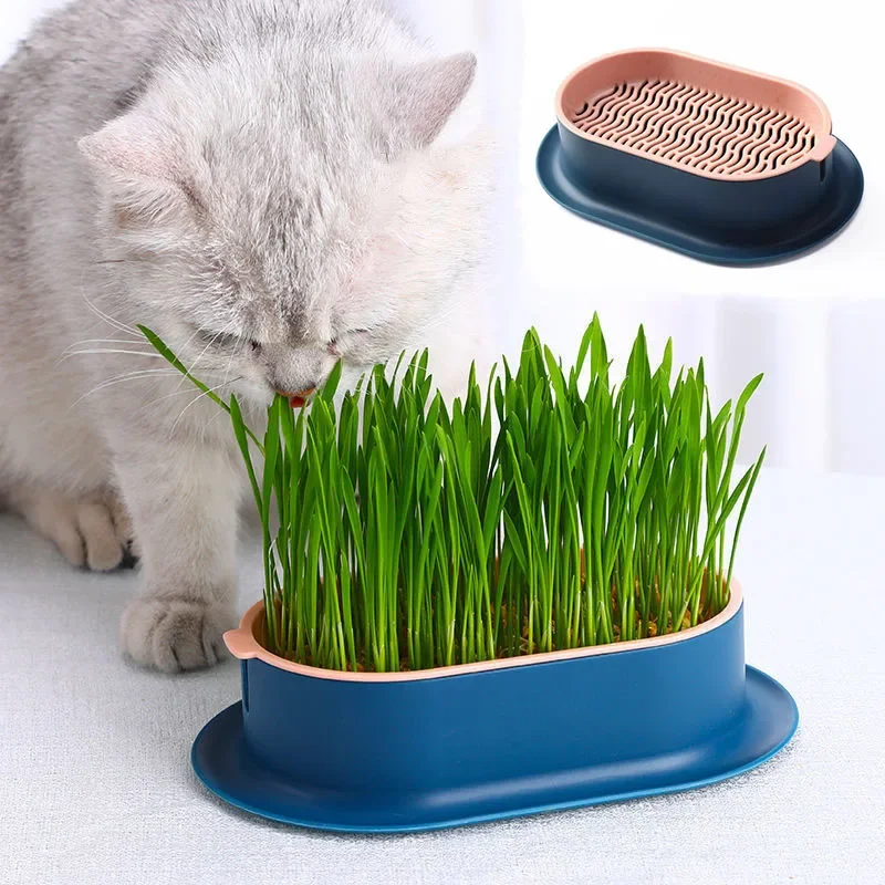 Pet Sprout Dish, Growing Pot, Hydroponic Plant, Cat Grass Germination, Digestion Starter, Greenhouse Grow Box, Reusable, 1Pc