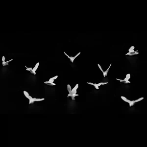 6 Hauptverkaufstigeon Weiß - №2