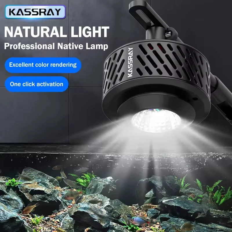 Kassray Wrgb Led Fr…