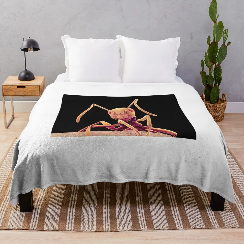 

Ant, SEM (Z345/0510) Throw Blanket Travel For Decorative Sofa Blankets