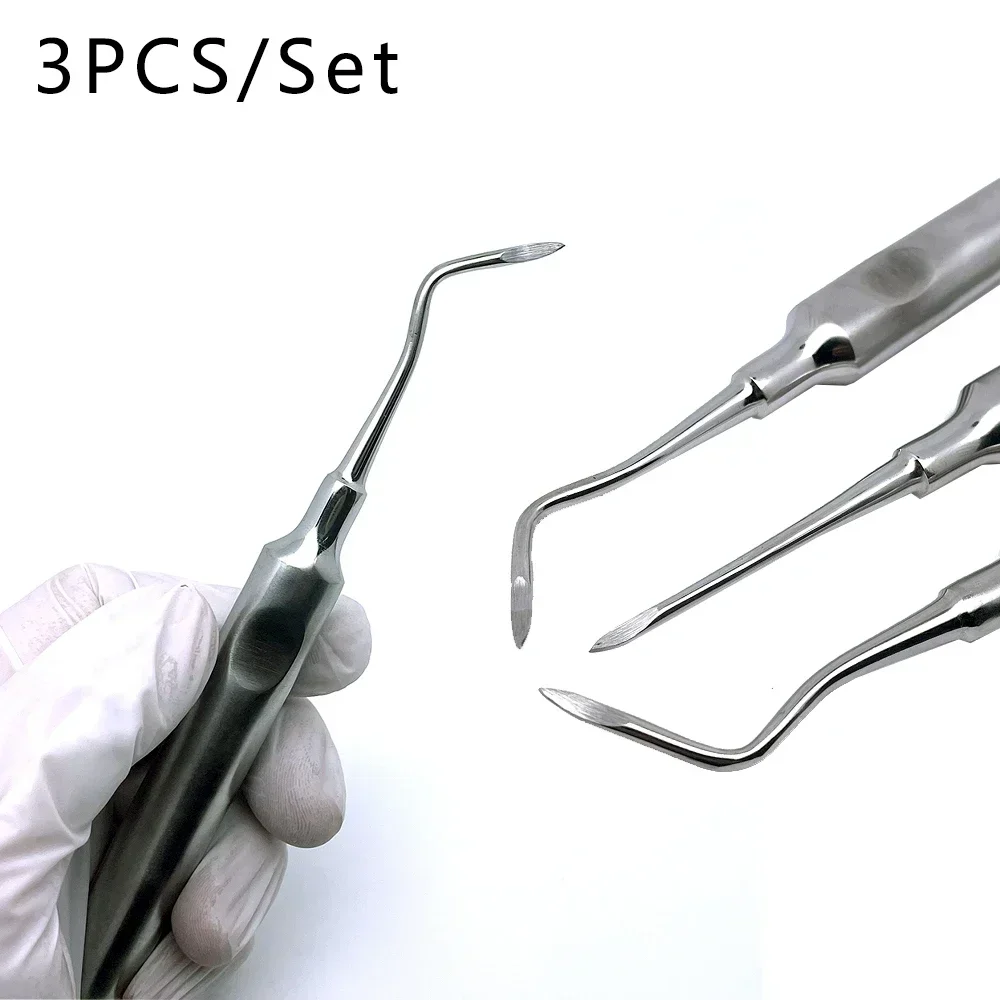 

3Pcs Teeth Extraction Tooth Extracting Forceps Curved Root Lift Elevator Stainless Steel Surgical Instruments Dental Tools
