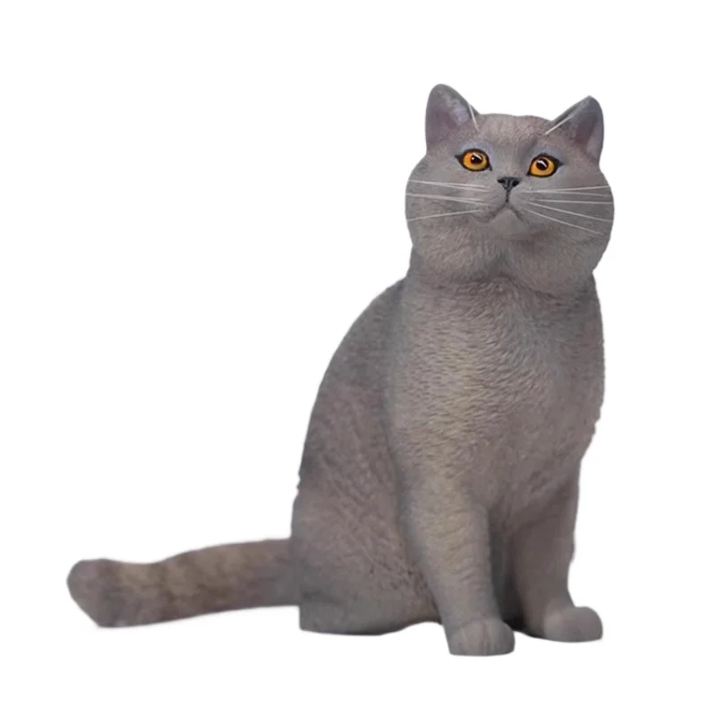 British short-haired cat/blue cat, simulated cat model, cute model play figure scenery can be matched with soldiers