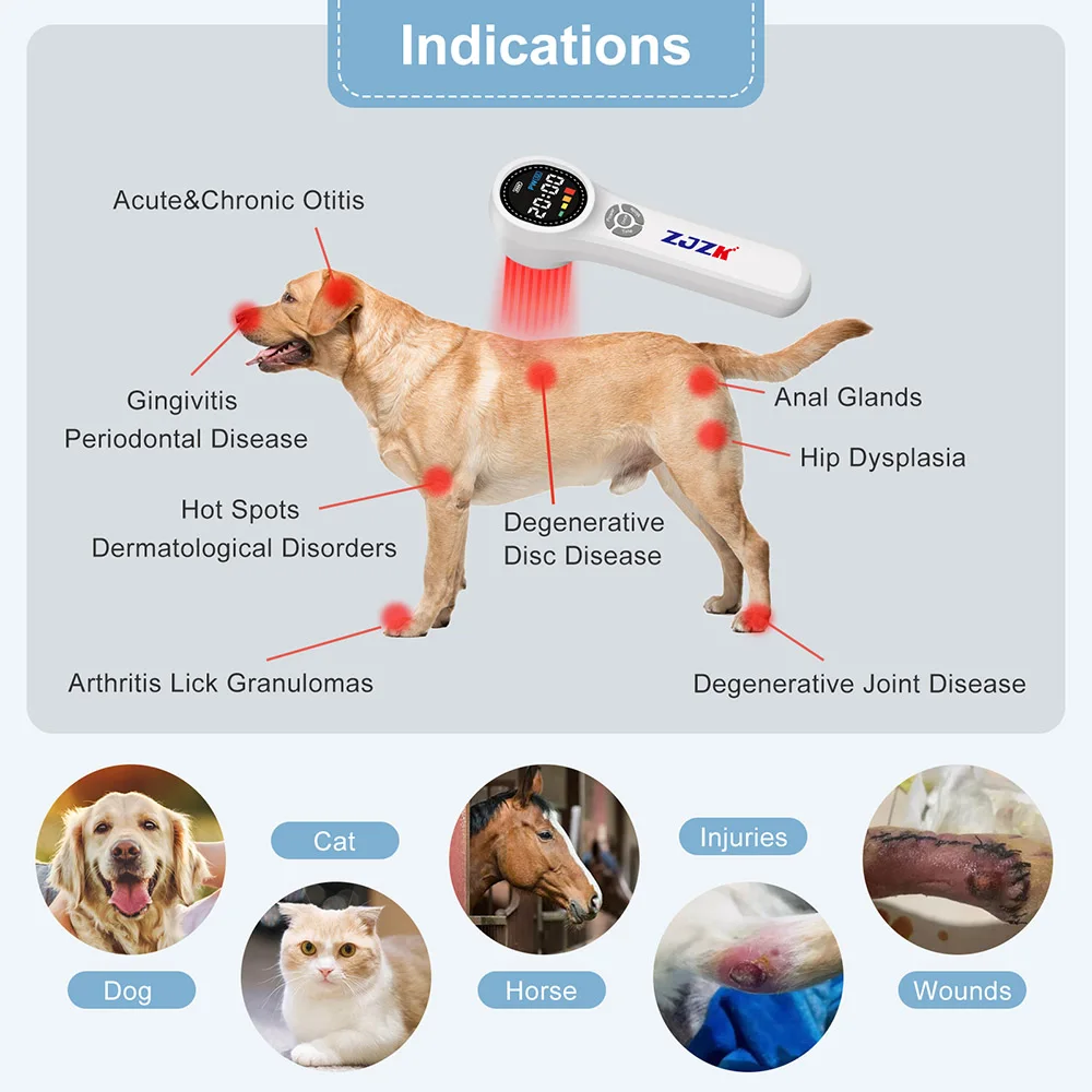 New Arrival 1760mW Back Pain Laser Equipment Relief Light Therapy for Horses Pain and Wound Healing 980nm 810nm With Fast Effect