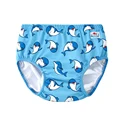 dolphin