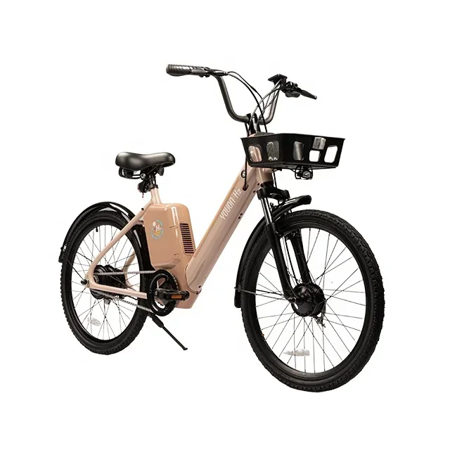 Protezione ambientale Intelligente e antifurto S 100 26 pollici 24 KmH OEM Bici a celle a combustibile alimentata ad idrogeno per pendolarismo