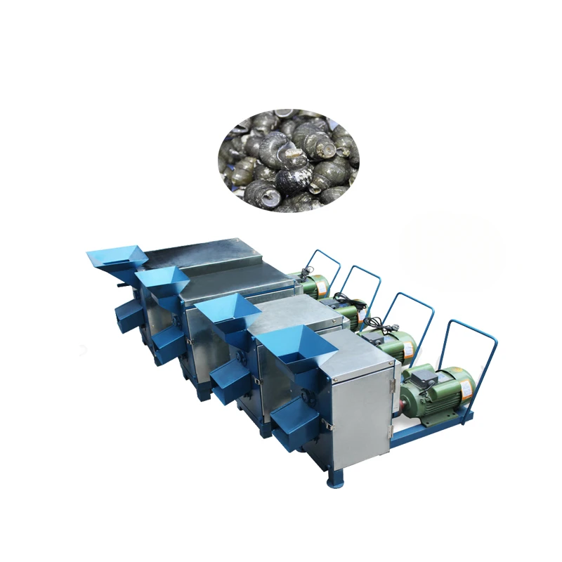 Snail tail cutting processing machine | Snail shelling machine |  river snail tail cutting machine