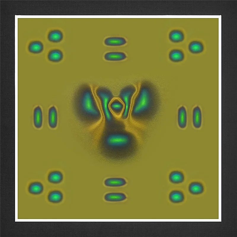 Magnetic Field Viewing Film,Magnetic Field Detector to See Magnetic Fields for Scientific Project Teaching 4 x 4