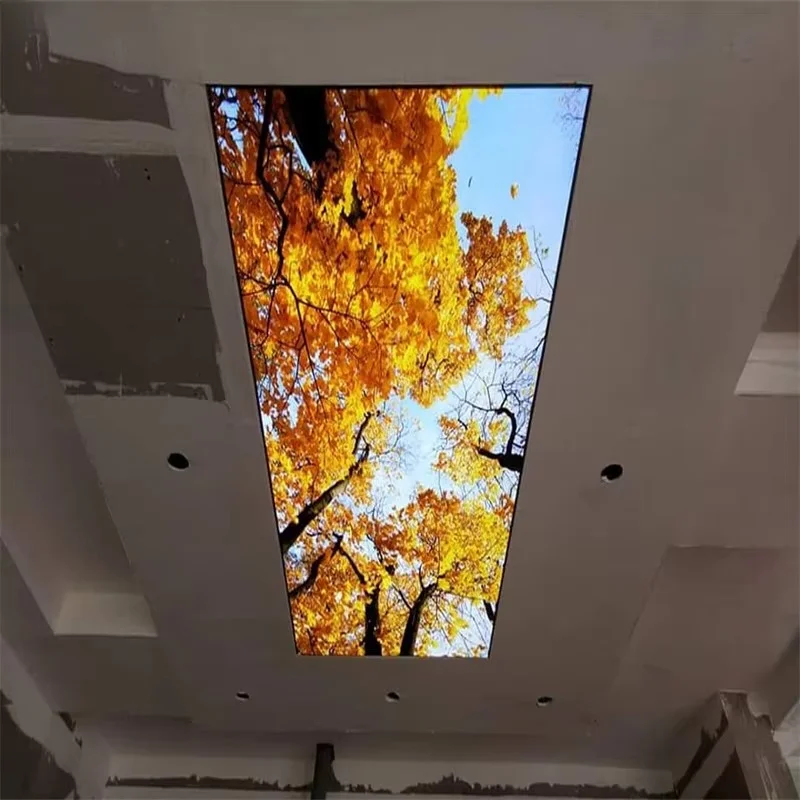 

Artificial flat ceiling design for living room photos