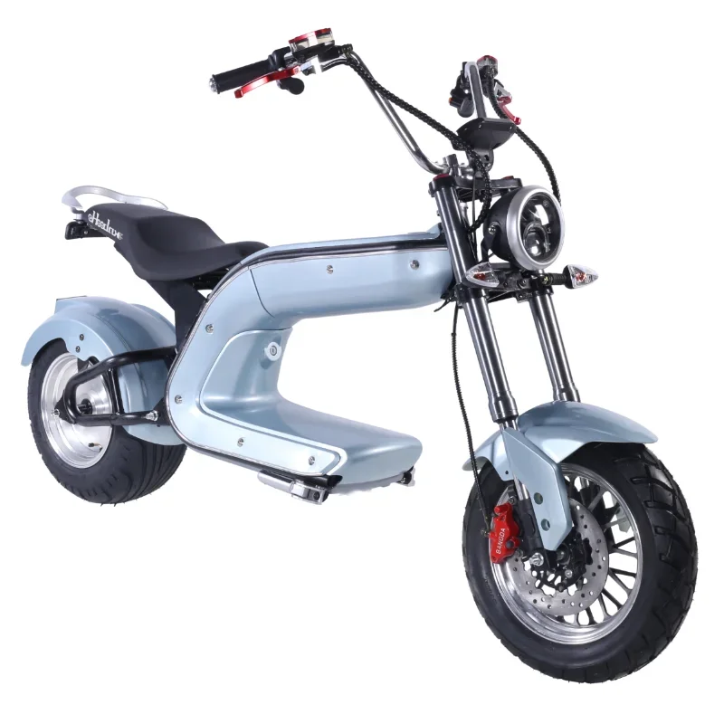 2022 Fastest 2000w 2500w EHoodax Moped Adult Classic High Speed Long Range E Bike 60v 12ah 20ah Electric Scooter