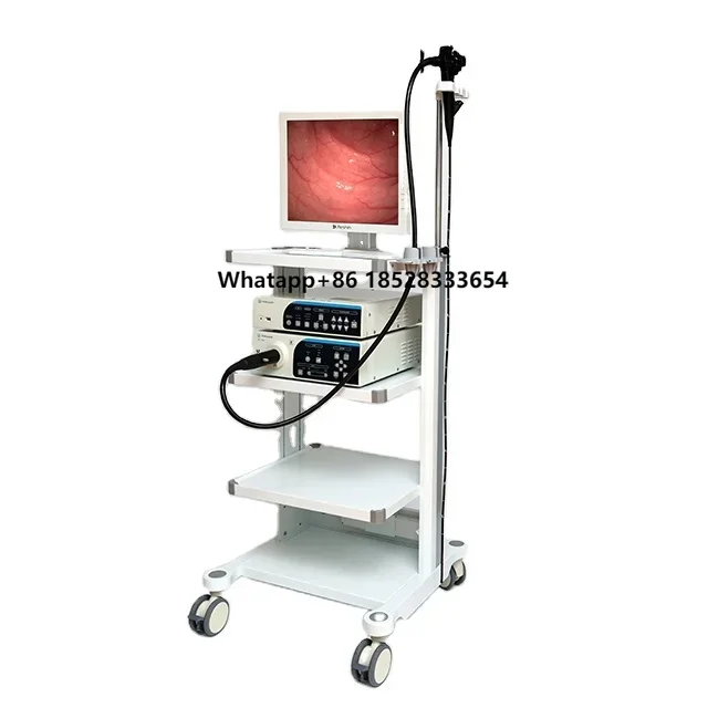 Best-selling Endoscopic Surgery HD Cold Light Source 2-in-1 Flexible Gastroscopy Colonoscopy Kit