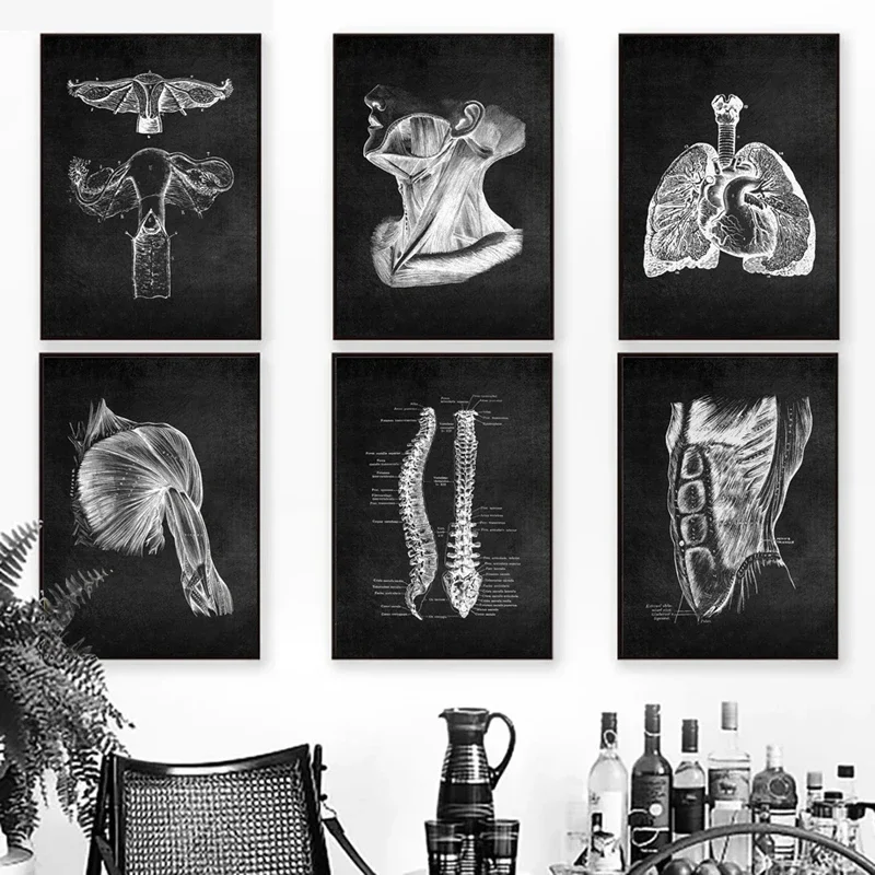 Anatomy Art Medical Canvas Painting Floral Organs Heart Lung Poster Print Student Education Hospital Picture Modern Decoration