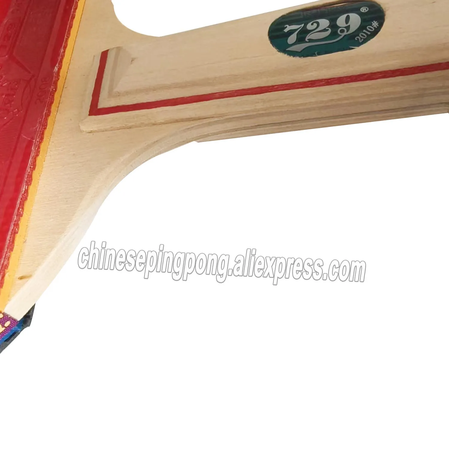 RITC 729 الصداقة 2010 # مضرب تنس الطاولة Pips-In 2010 #3