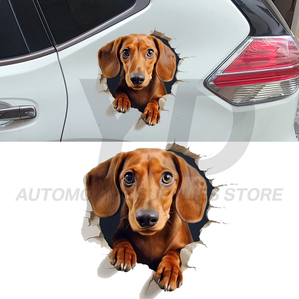 3d-наклейка-на-автомобиль-«Такса-вырывающаяся-сквозь-стену»-водонепроницаемая-виниловая-наклейка-с-изображением-животного-для-декора-автомобиля-грузовика-окна-бампера-кузова-аксессуары