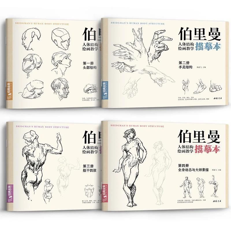 Bridgman Human Body Structure Painting Tutorial Human Head Torso Dynamic Practice Book Character Structure Drawing Sketchbook