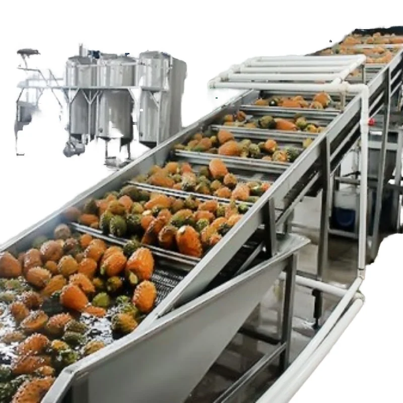 

Custom Industrial Pomegranate & Passion Fruit Juice Production Line with New Core Motor & Seed Separator Juicer