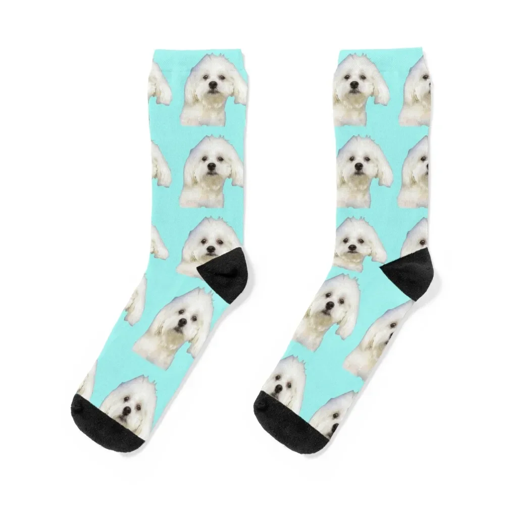 Maltese puppy on blue Socks sheer christmas gifts sport funny gift Socks Men\'s Women\'s