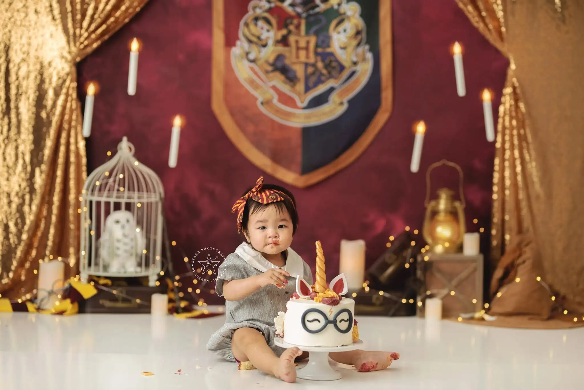 Hogwarts Express Backdrop Kids Baby Cake Smash Photography Props Owl Child Boys Adult 1st Birthday Photocall Studio Backgrounds