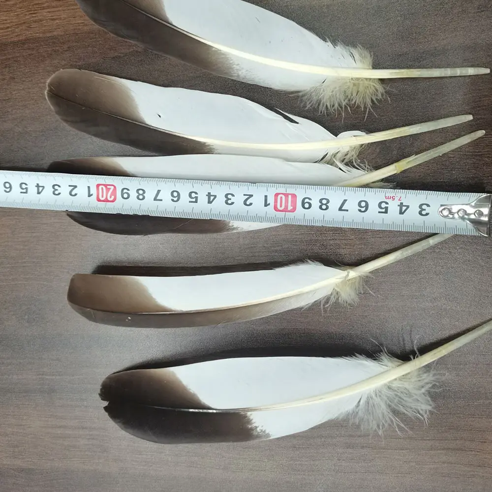 Beautiful 10pcs Natural Feather 20-25cm/8-10inch For Various Festive Wedding Decorations