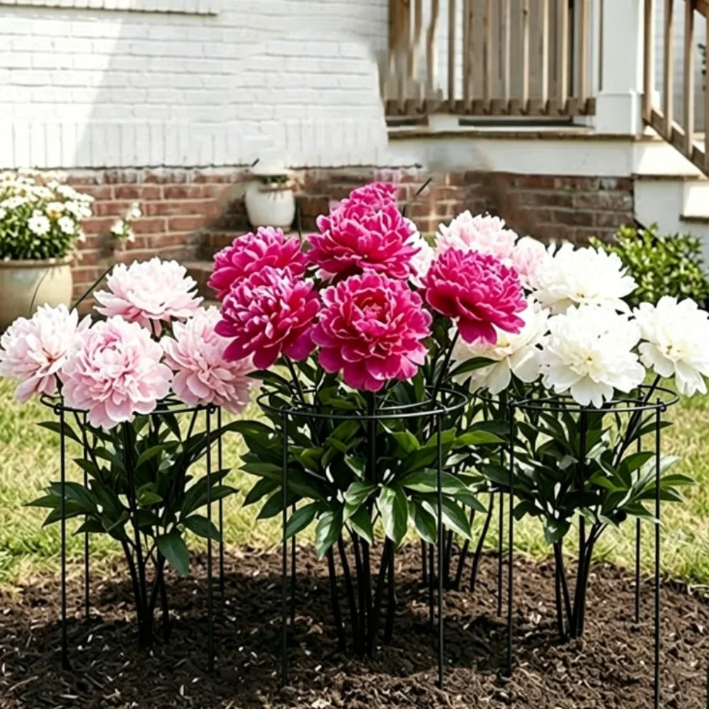 For Small Space Gardening Metal Plant Trellis Complete Set Of Trellises Plant Support Iron Plant Frame Long Lasting Support