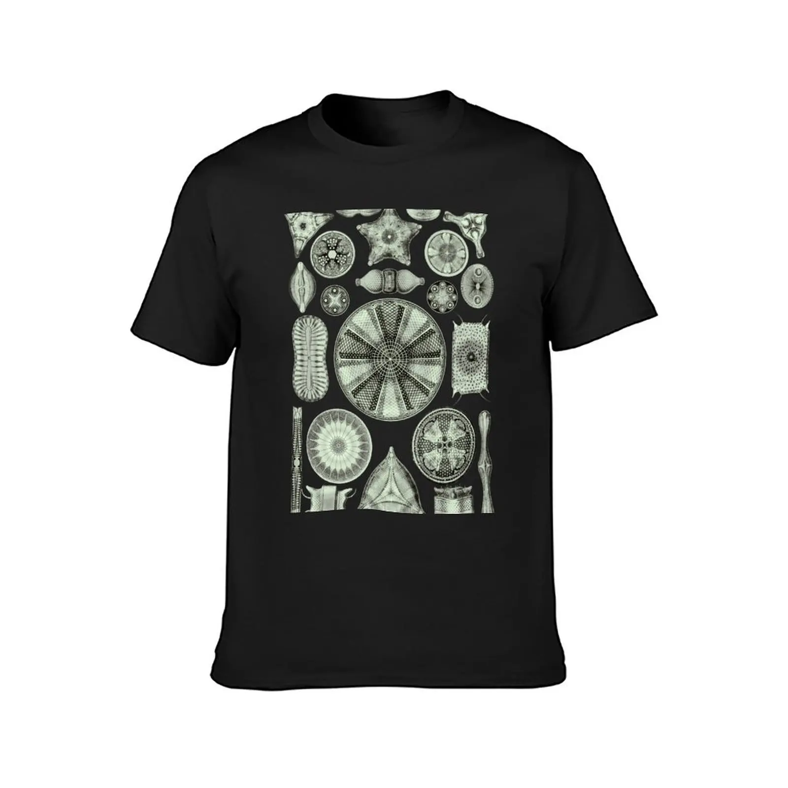 Ernst Haeckel Diatoms Olive Green T-Shirt cute tops blanks quick drying tops workout shirts for men