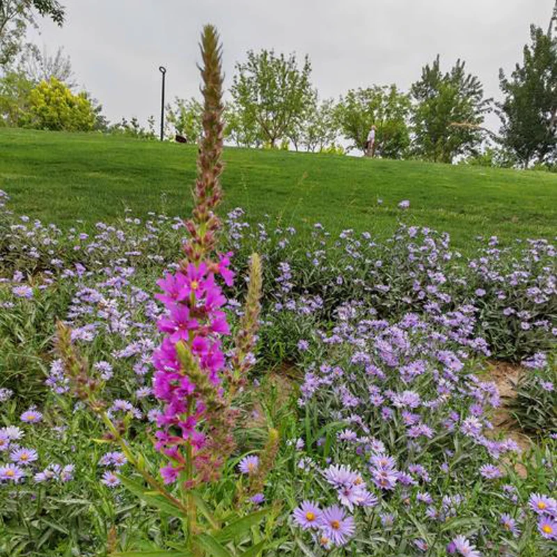 

Car Window Rubber Decorative Strips Window Glass Waterproof Pressure Awnings Sealing Strip Fit For Toyota Highlander 2008-2010