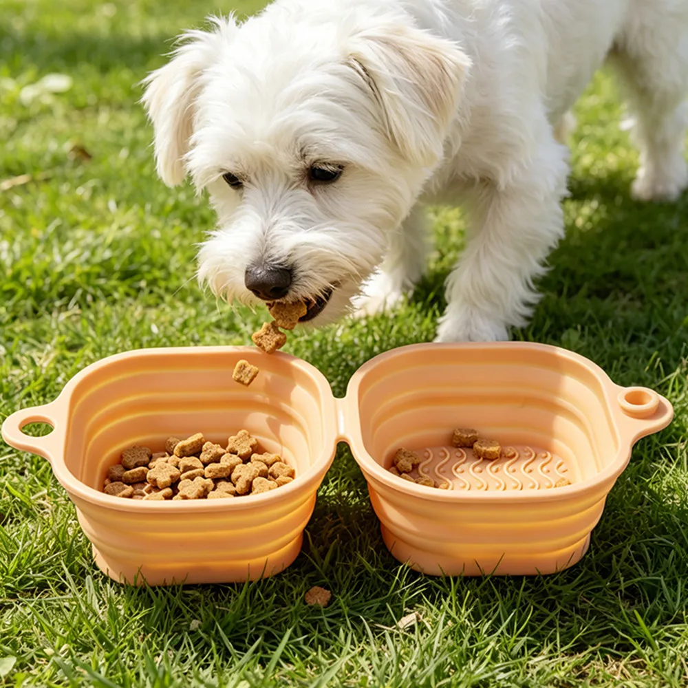 #28 Best Collapsible Dog Bowls to Buy In 2026