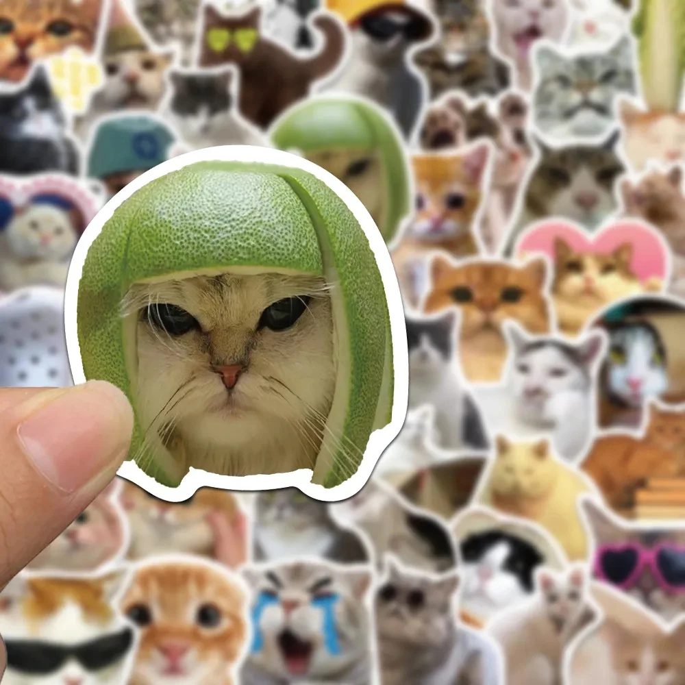 10/30/50pcs Cute Cat Stickers Funny Meme Animal Cartoon Decoration Decal DIY Journal Laptop Skateboard Waterproof Kawaii Sticker