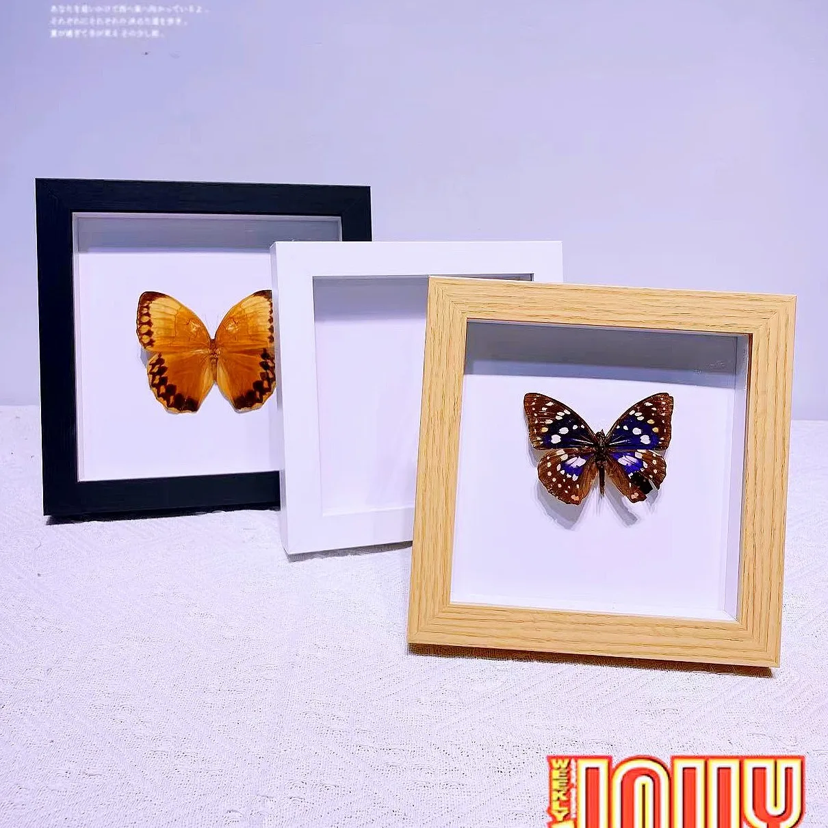 marco-de-arcilla-3d-hueco-de-2-cm-para-exhibicion-de-flores-secas-especimenes-de-insectos-colgante-de-pared-estilo-sencillo-densidad-boa