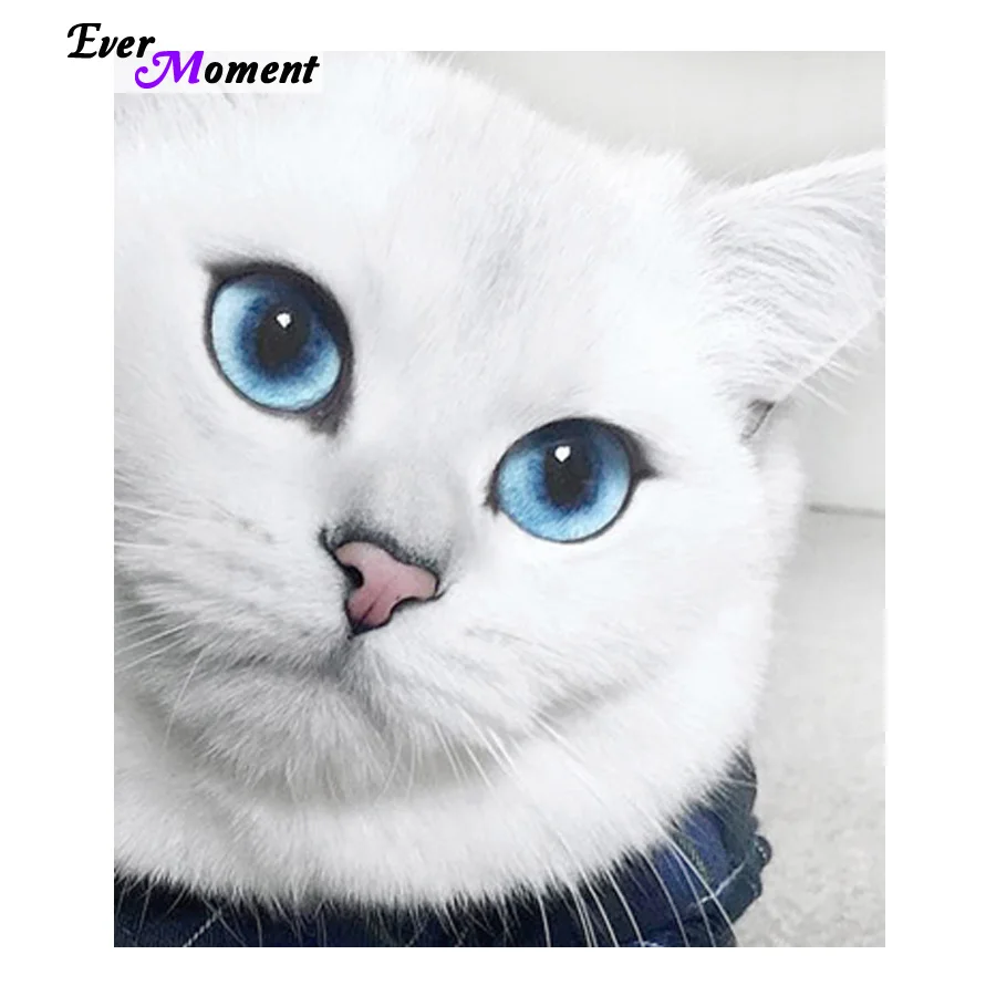 

Набор мозаики для алмазной вышивки, белый кот с голубыми глазами, сделай сам, алмазная живопись, вышивка крестиком, рукоделие, домашнее ремесло, подарок ASF600