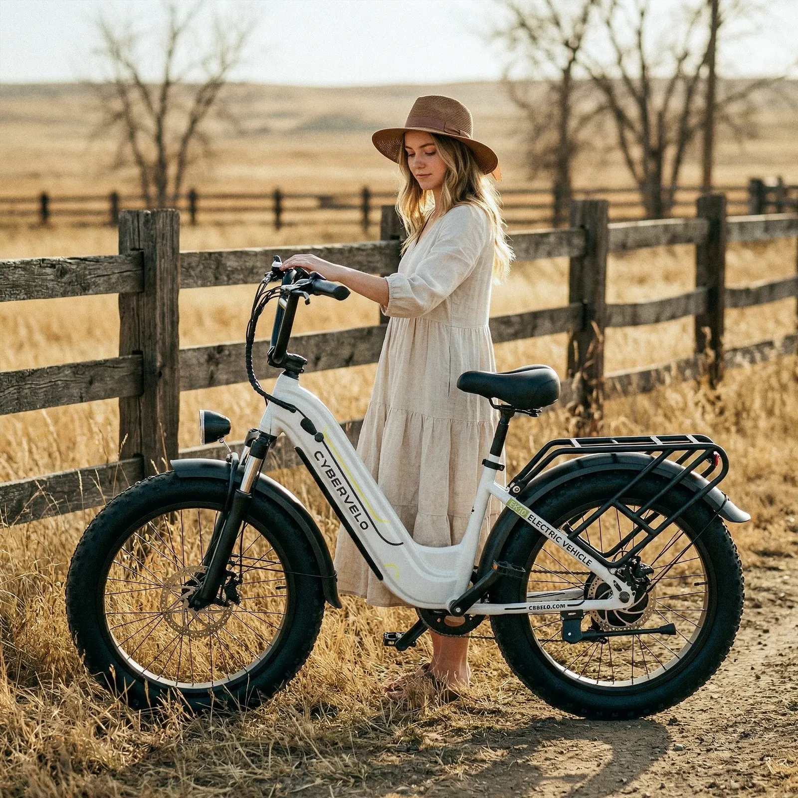 

26" Step-Thru Electric Bicycle for Adult , 1000W Peak ,48V 25Ah Bulit-in Removable Battery, 7-Speed City Commuter New EK10&EK7