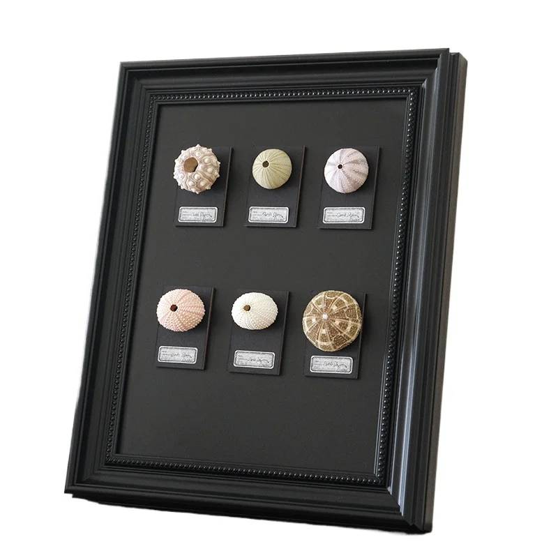 Magnetic Circuit Breaker Cover Art with Seashell Specimens Vintage Nautical Electrical Box Decoration Animal Wall Decor Painting