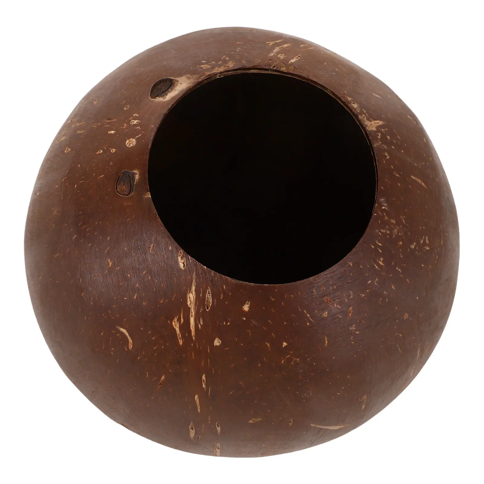 Natural Coconut Shell Planter Pot for Succulents DIY Kindergarten Gardening Projects Rustic Decorative Flower Pot Breathing