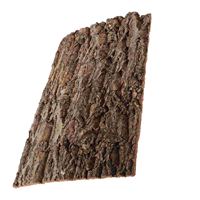 Lightweight Durable Bark Background Board Terrarium Habitat Decor Reptile Supply Climbing Platform Cork Turtle Pet Products