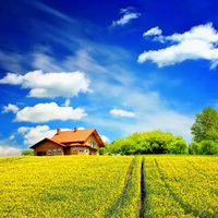 Radiolink R12DSM R12DS R9DS R8SM R8EF R8FM R8F R7FG R6DSM R6DS R6FG R6F R4FG R4F RC Receiver 2.4G for RC Car Plane AT9S AT10