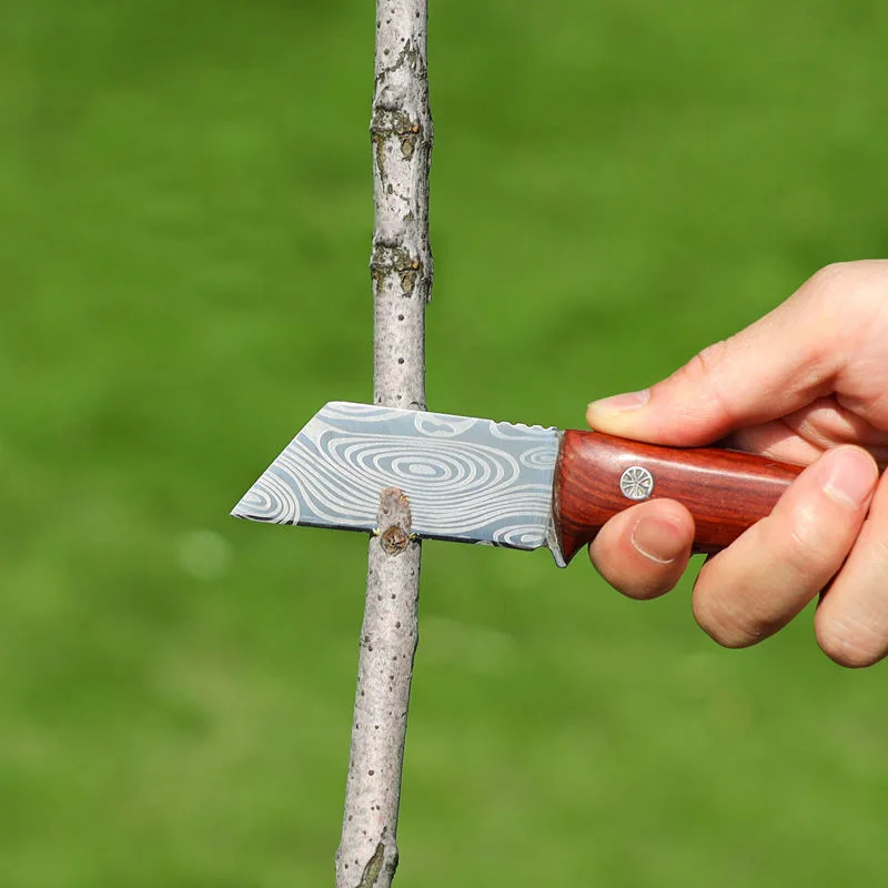 

Multifunctional Grafting Knife Stainless Steel for Bark Bud Grafting Fruit Tree Handmade Gardening Tool Outdoor Camping Survival