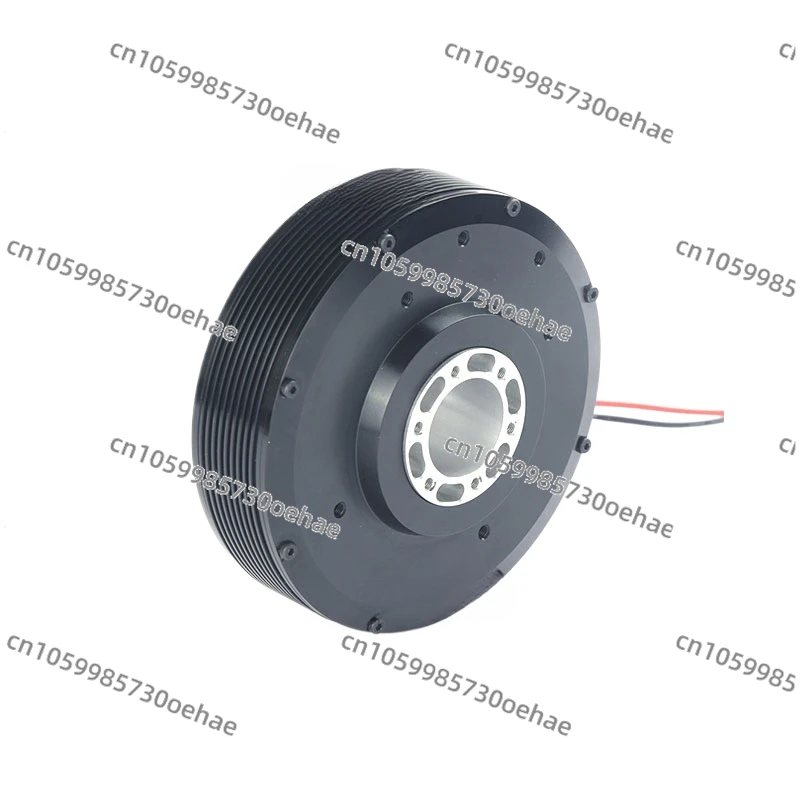 PM100 High Torque Hollow Brushless DC Motor High Performance 24V