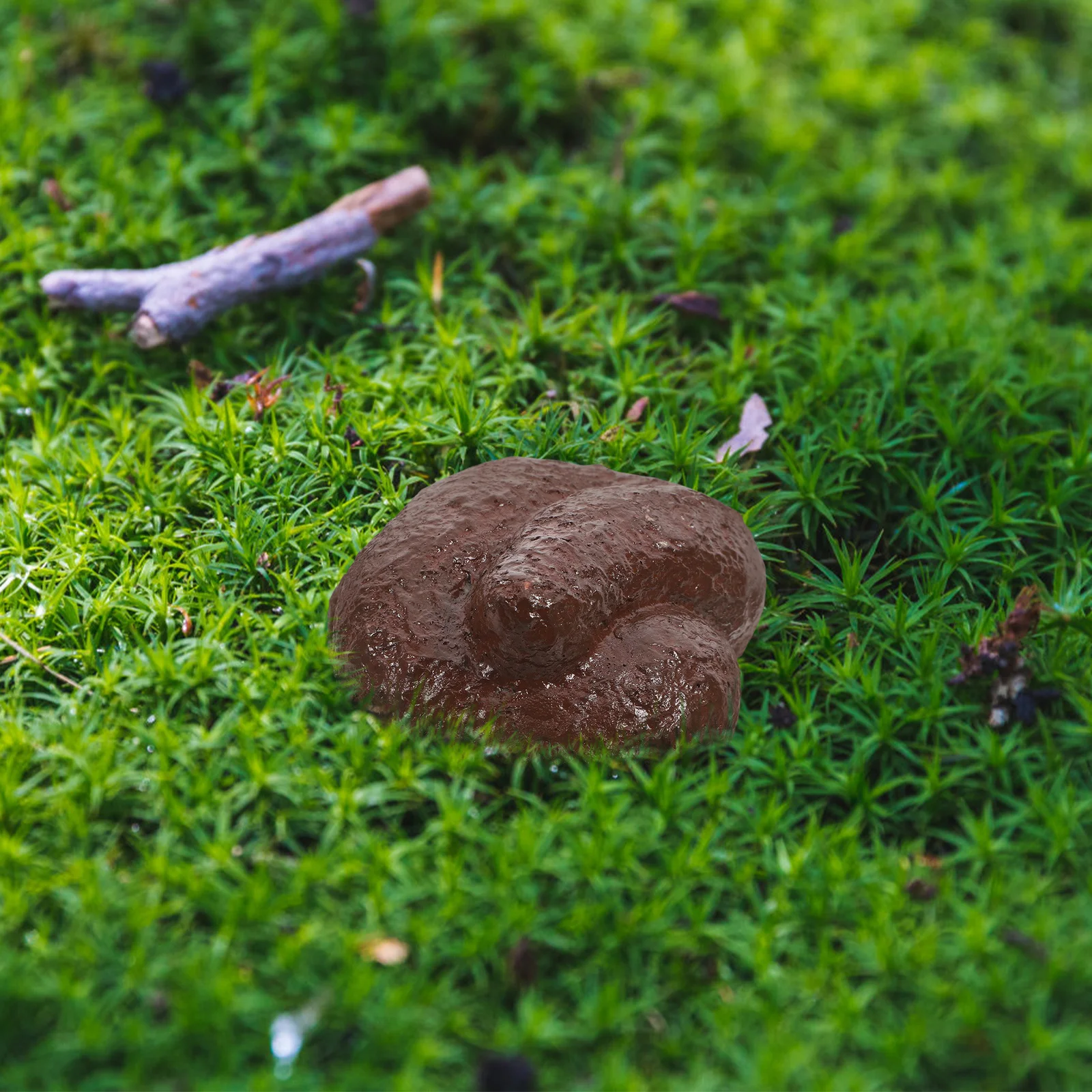 Hidden Poop Key Hider Waterproof Outdoor Storage Box Discreet Safe for House Spare Keys Courtyard Key Holder for Outside