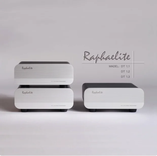 Raphaelite DT1.1 Stereo MC Pole Permalloy Step-Up Transformer 200:47K (1:14)