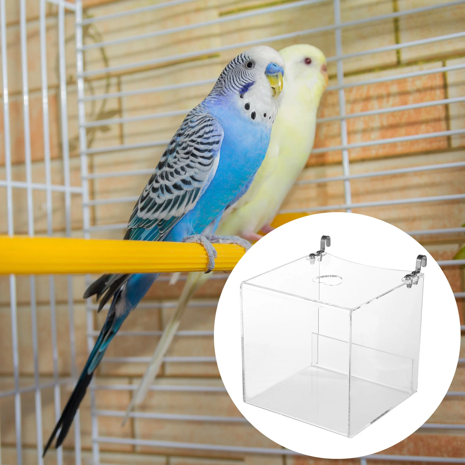 Hanging Bird Parrots Bath Cube Transparent Bathtub Shower Box Cage Accessory bird bathtub bird bath tube