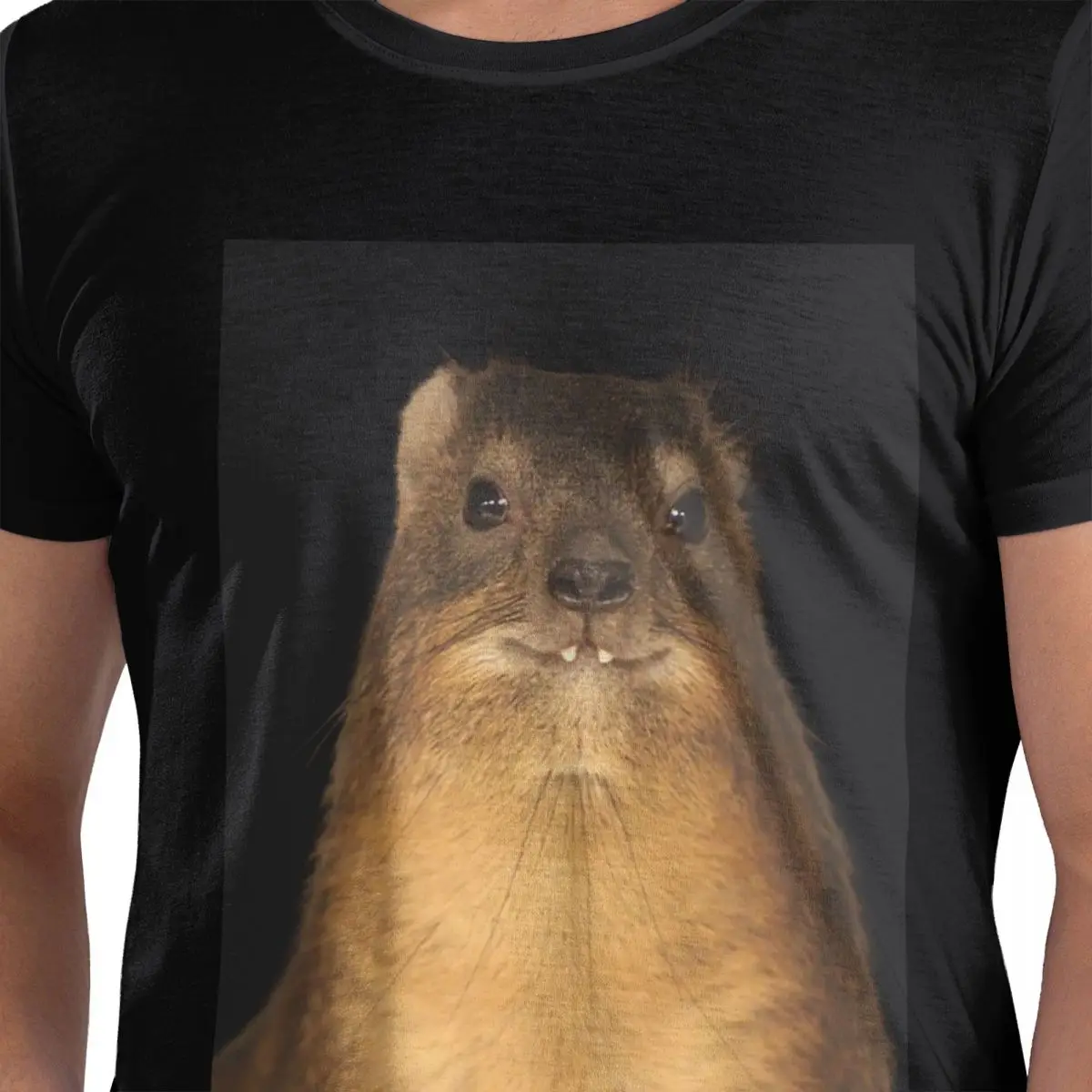 

Rock Hyrax Photo Rosenie Vampire Potato футболка из 100% хлопка мужские забавные футболки мужские с круглым вырезом с коротким рукавом S-6XL