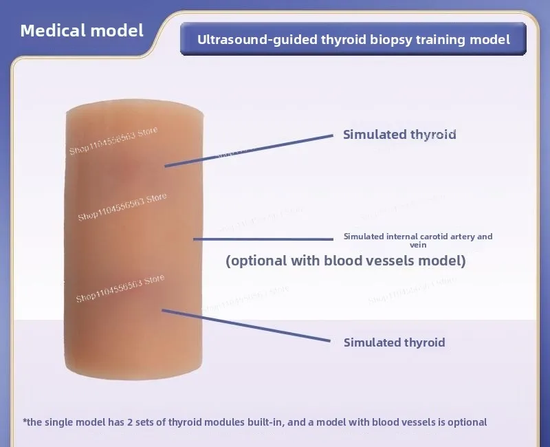 Thyroid Ultrasound Puncture Simulation Model, Cervical Vascular and Trachea Exploration Training Module