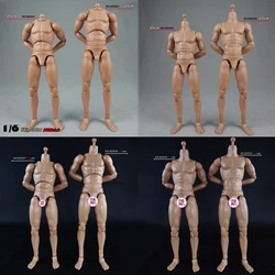 1/6 25cm/27cm Male Standard Muscle Body BD001/BD002/BD003/BD004/BD007/BD008/BD009/BD010 for 12'' Action Figure Model