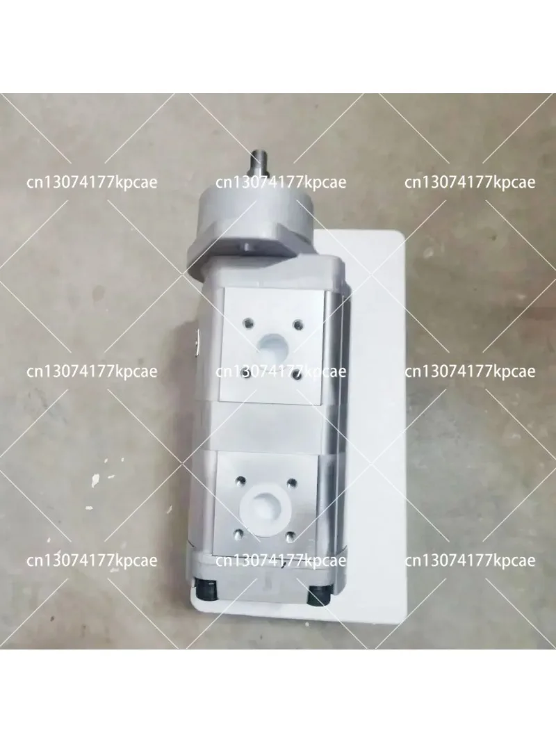 Double Gear Pump R200-5/7/9 Various Models Excavator Tire Parts