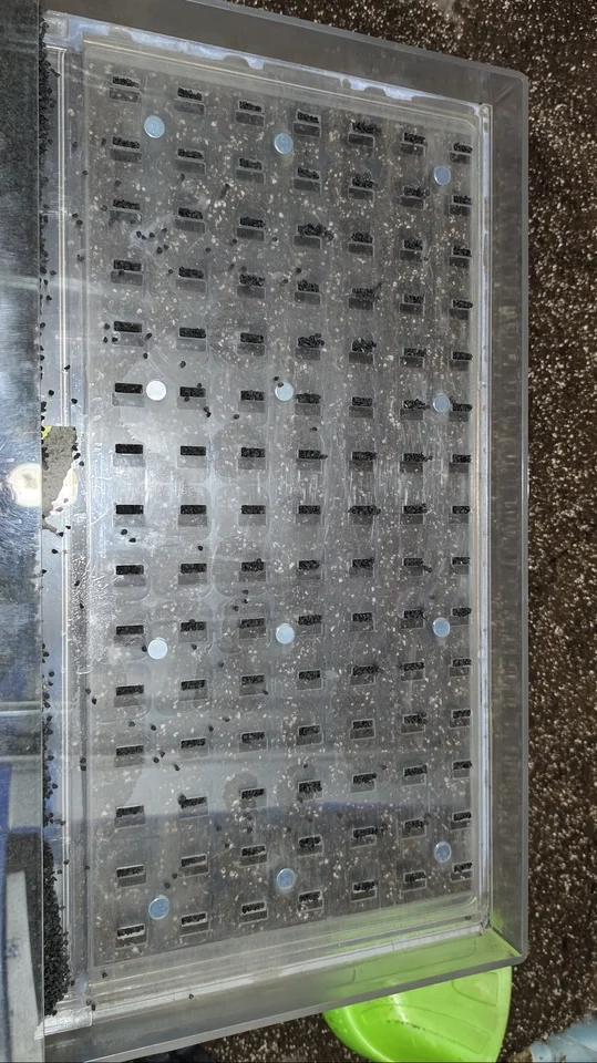 

Multi-hole Acrylic Manual Seed Sower 32-200 Holes Efficient Seedling Tray Planter Nursery Planting Accessories