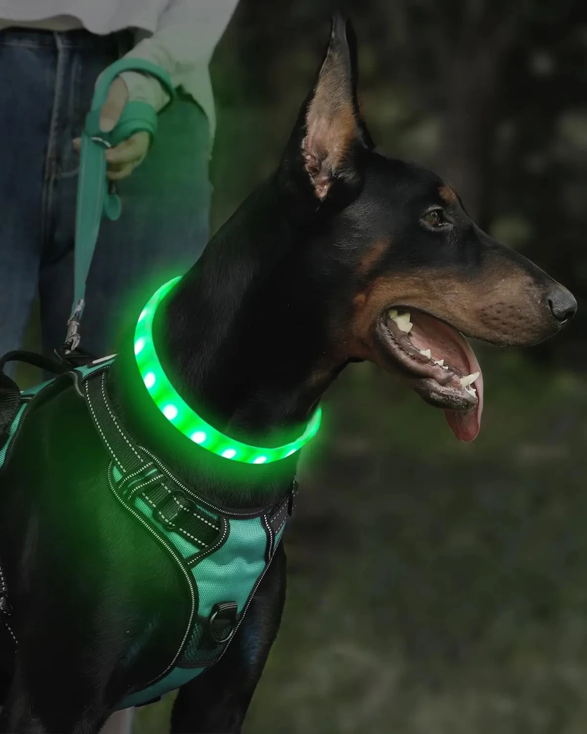 USB wiederaufladbares leuchtendes Halsband für große und kleine Hunde, LED-leuchtendes Hundehalsband, 9 Blinkmodi, verstellbares weiches Silikonhalsband – Detail 5