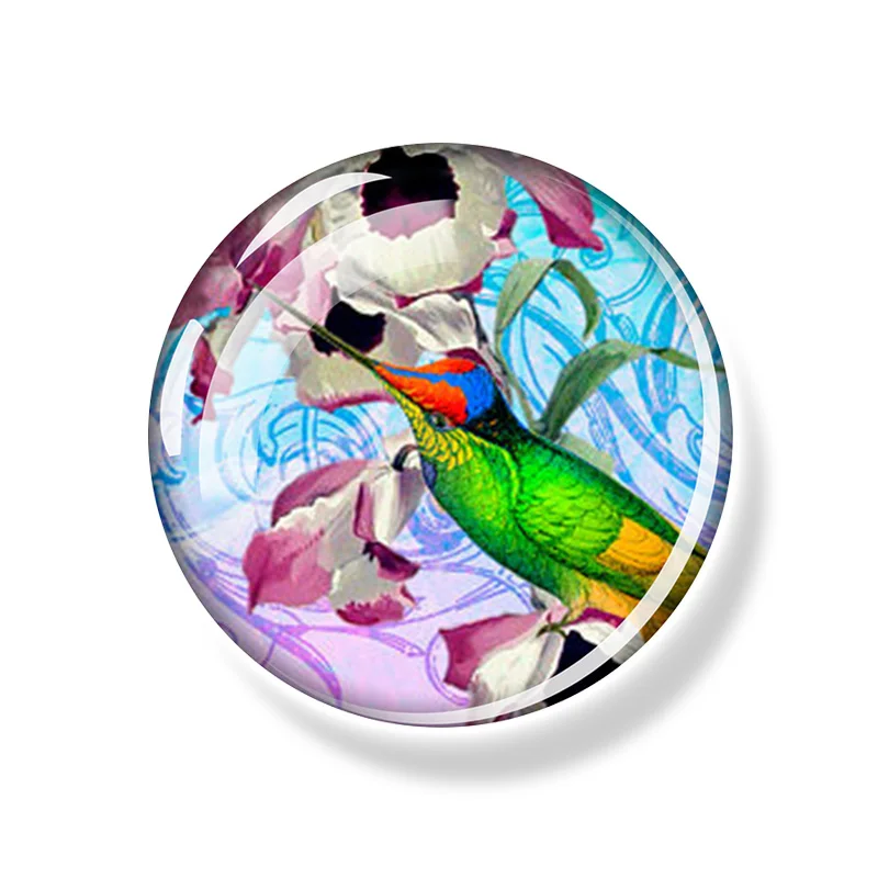 Circular Glass Refrigerator Magnet Decorative Magnet for Hummingbird Photos Whiteboard Note Suction