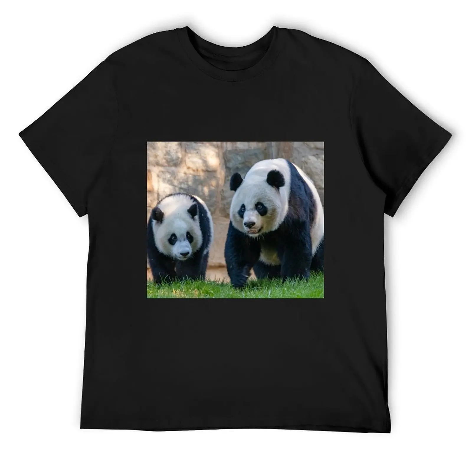 

Giant Pandas Xiao Qi Ji and Mei Xiang at the Smithsonian's National Zoo T-Shirt blanks Short sleeve tee men