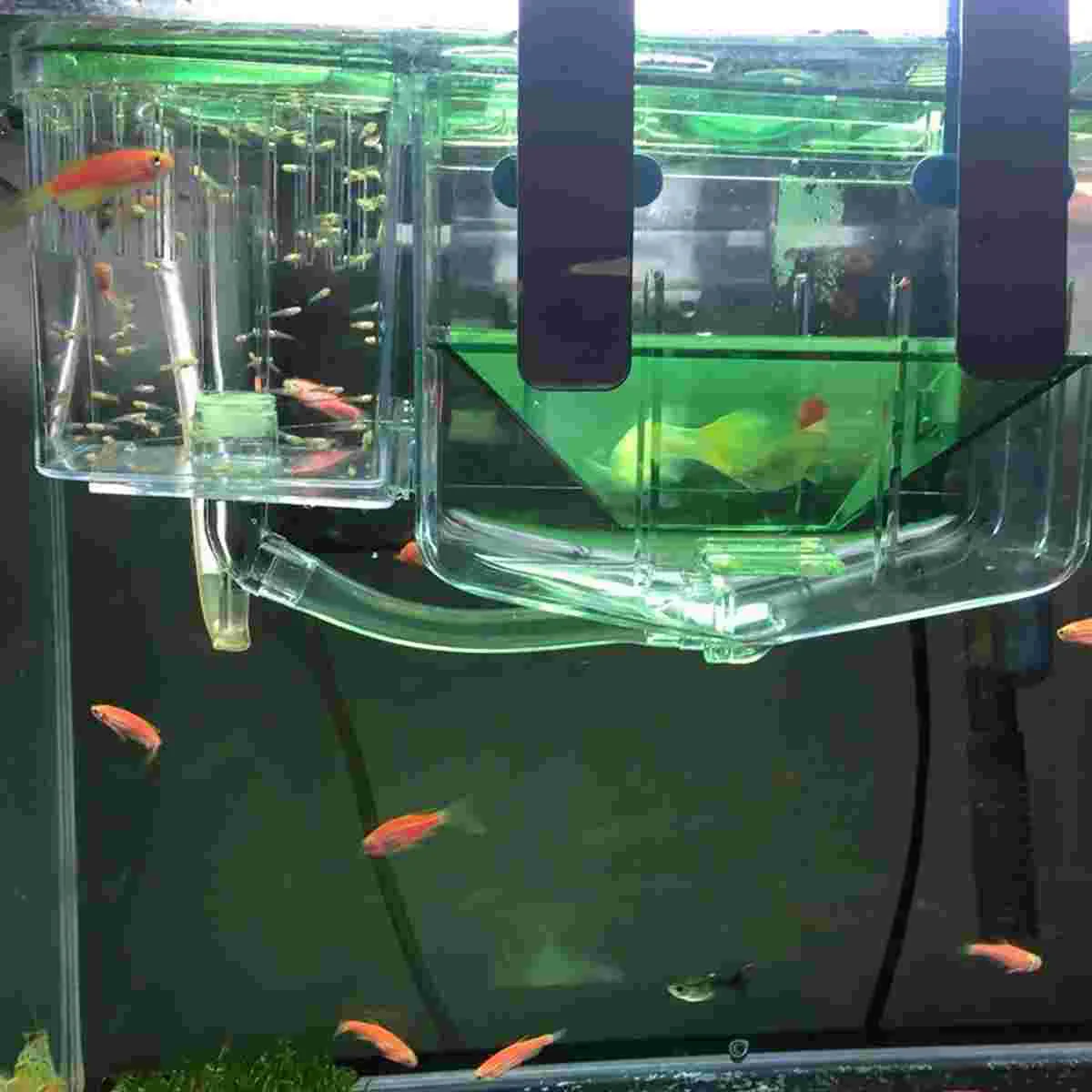 Fish Incubator Aquarium for Maternity Hatchery Aquariums & Bowls Tank Guppy Filters Feeder Sponge Decorate Aqaurium Paridera