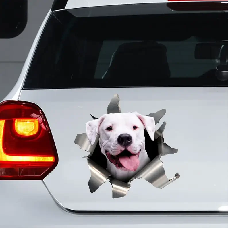 Dogo Argentino car sticker, Dogo Argentino decal, Dogo Argentino magnet